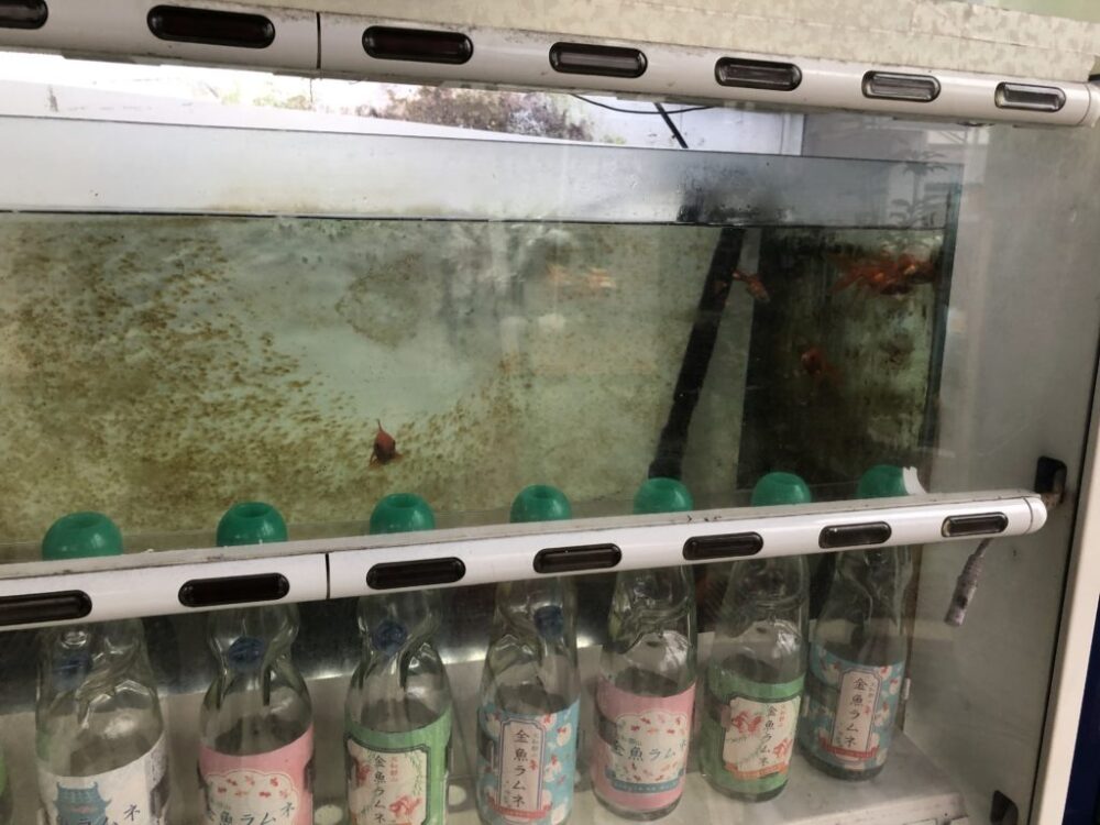 金魚自販機