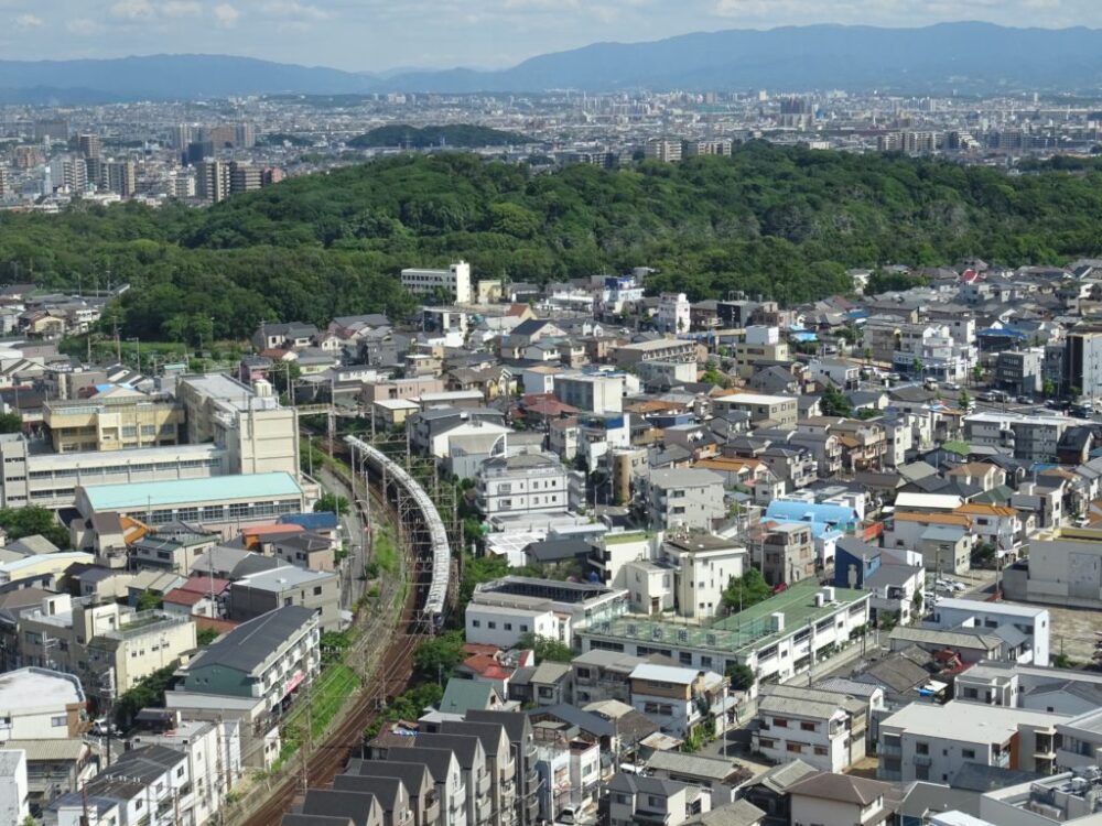 堺市役所展望台を利用して仁徳天皇陵を格安で見物する方法 