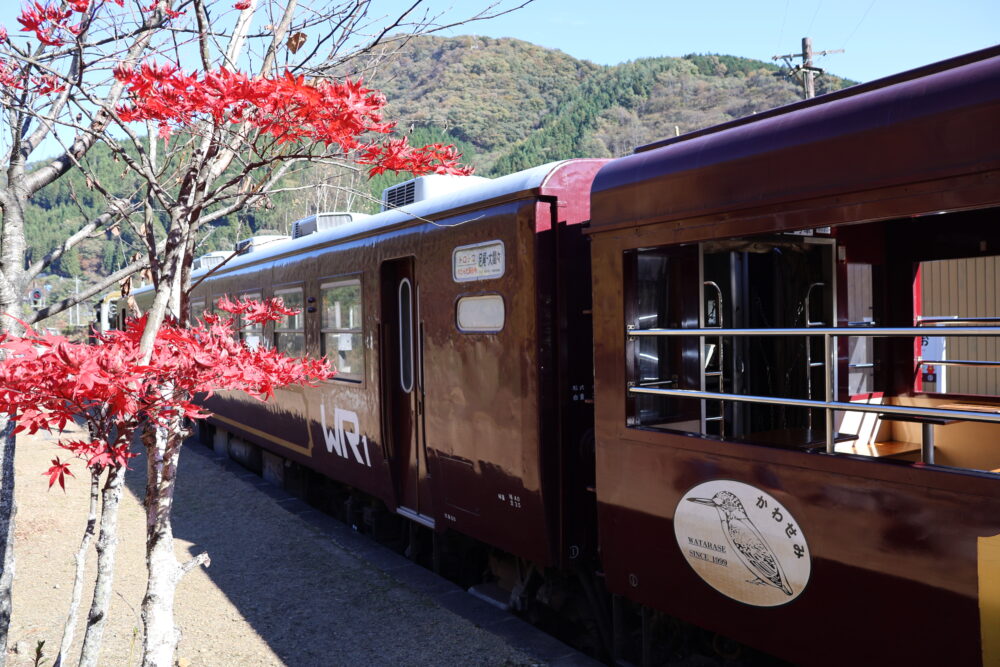 トロッコ渓谷号と紅葉