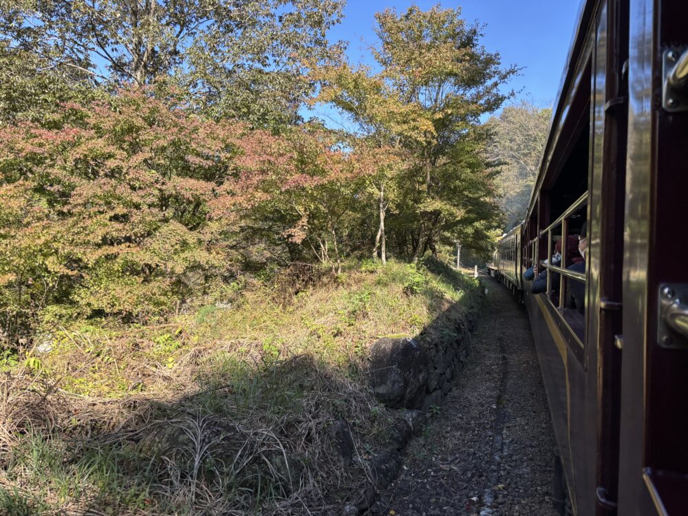 トロッコ列車からの車窓１