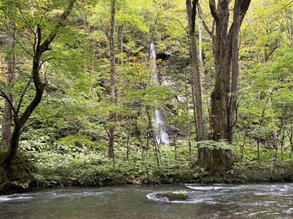 白糸の滝