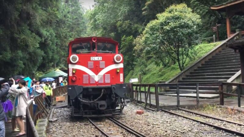 阿里山で鉄道と自然の魅力を楽しむモデルコースの紹介 