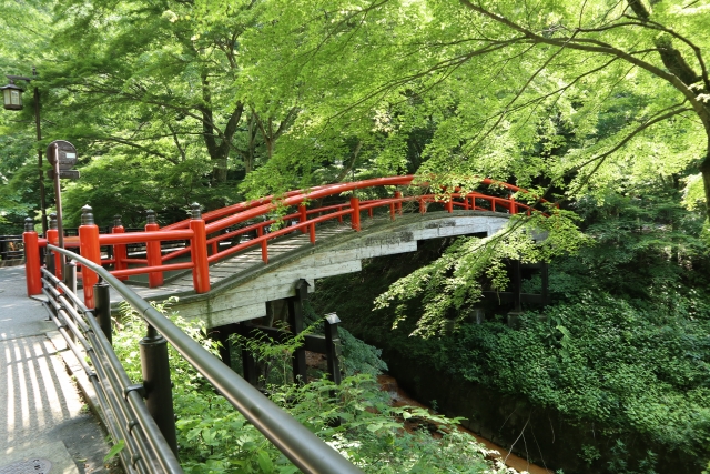 春の河鹿橋