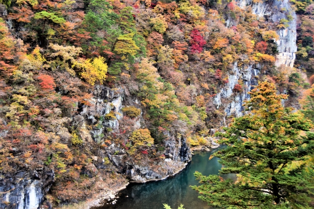 吊り橋からの紅葉